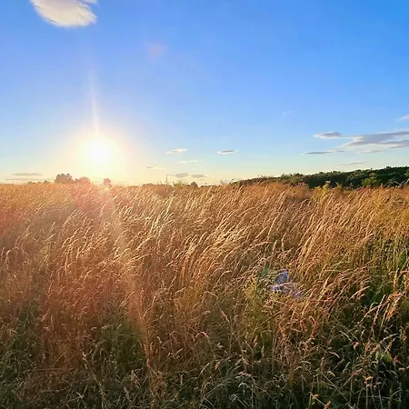 Casa Crusoe Сasa de vacaciones *